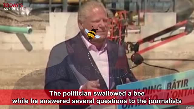 Ontario Premier Doug Ford swallows bee during live news conference