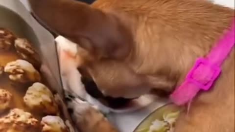Yummy!