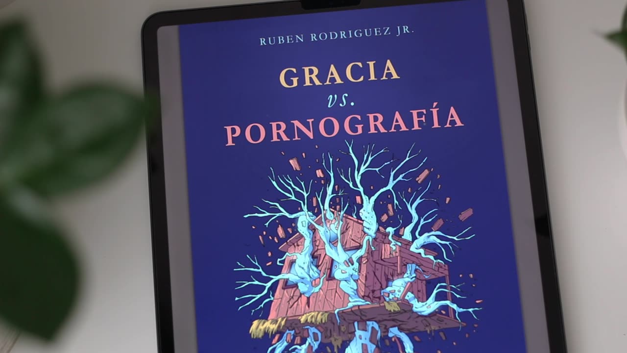 Libro - GRACIA vs. PORNOGRAFÍA