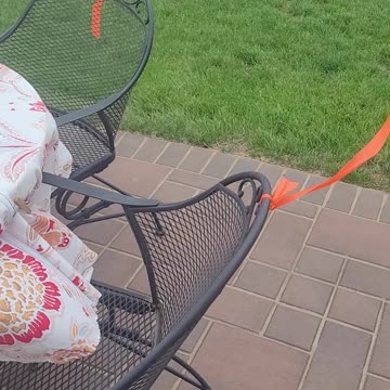 How to keep bird crap off your porch