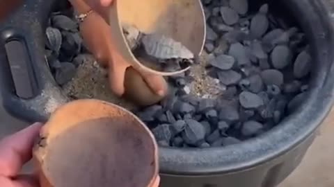 How cute || satisfying video || Hoops ||