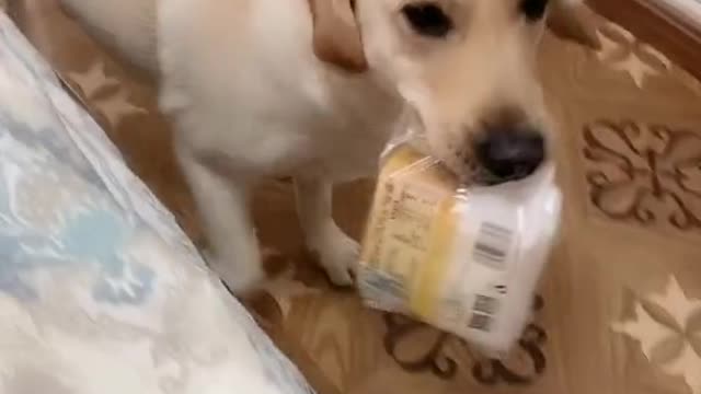I was hungry, so he went to get me some food.