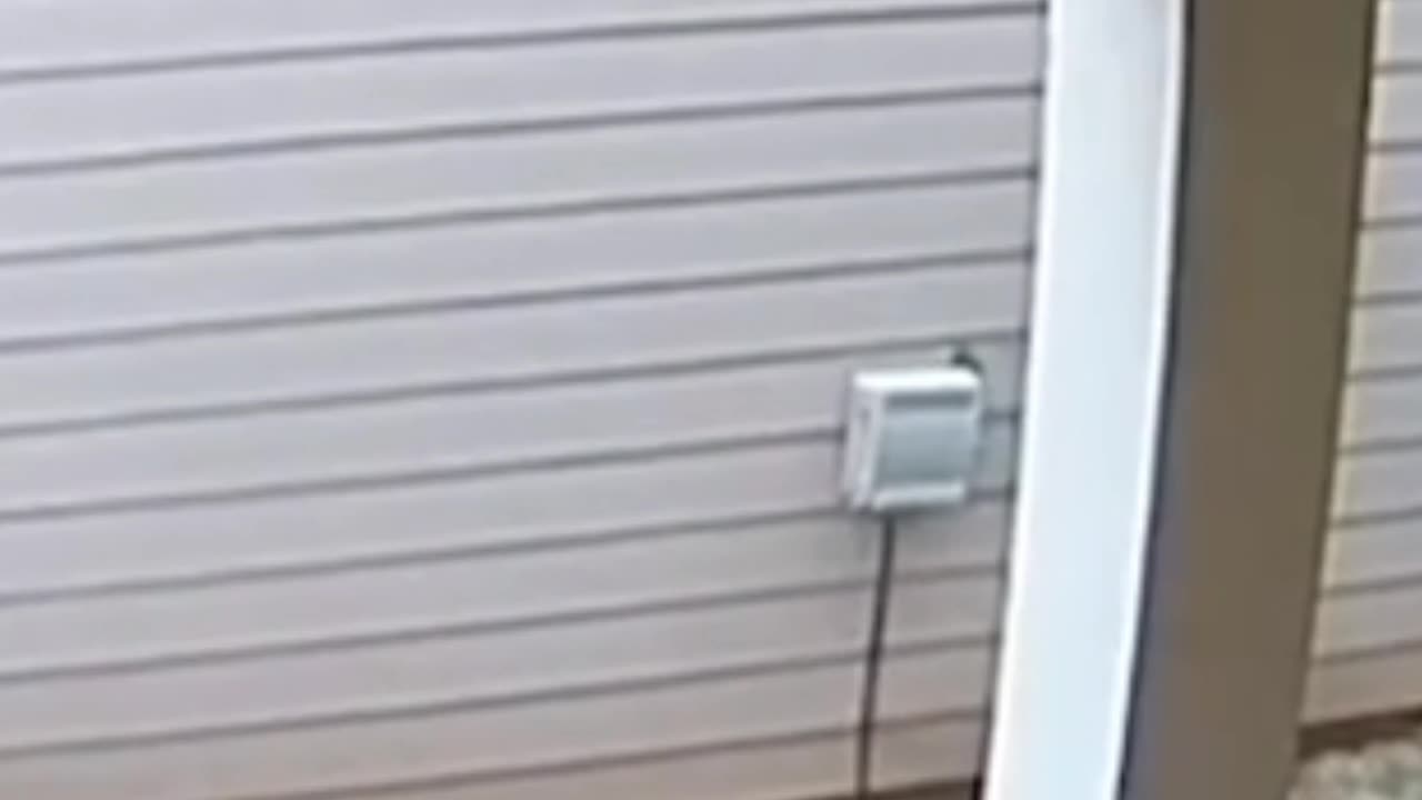 Watch a funny video 😂😂