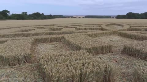 Crop Circle - Barton Stacey Belt, Near South Wonston, Hampshire, England - 9 July 2023 05:59