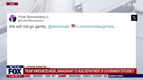 Trump appoints Musk, Ramaswamy to lead Department of Government Efficiency (DOGE)