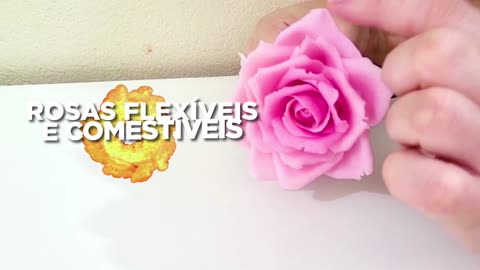 Teaser Mestre em Bolo de Rolo