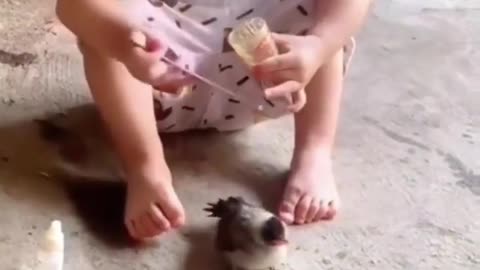 Little man feeding his pet bird ! WHOLESOME