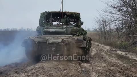 Our friend the Kherson Raccoon was very busy yesterday