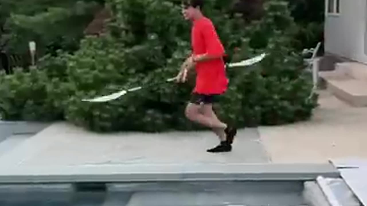 Revenge