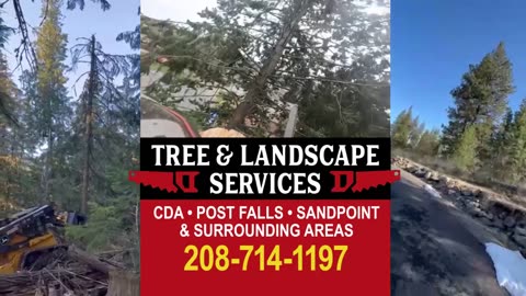 Tree & Landscape