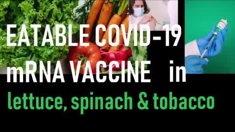 ⚫2460. 🥒🥬🥦💉💀
