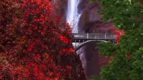 Natural beauty