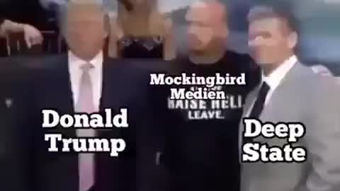 Trump, Mockingbirds and the Deep State