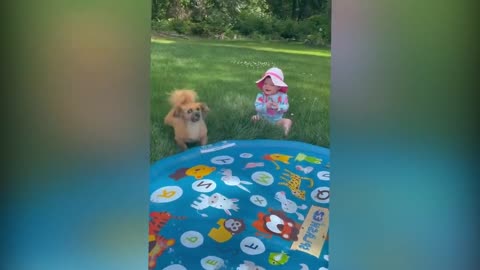 Cutest Babies Play With Dogs And Cats Compilation