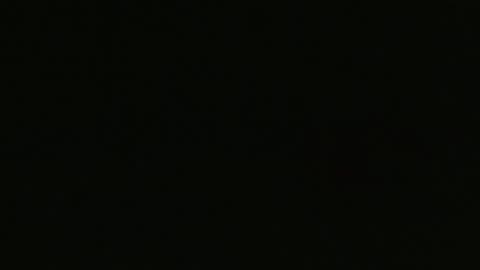 Scandeless on the Puppy Mill