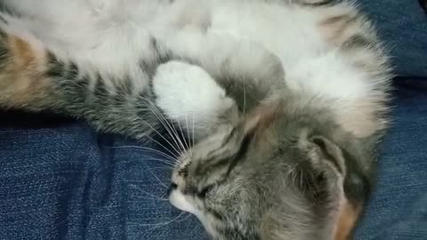 spoiled boy likes to joke