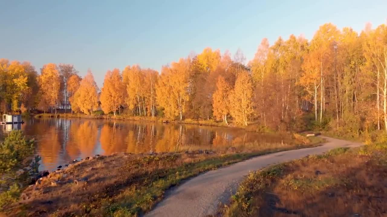 Enchanting Autumn Forests with Beautiful Piano Music