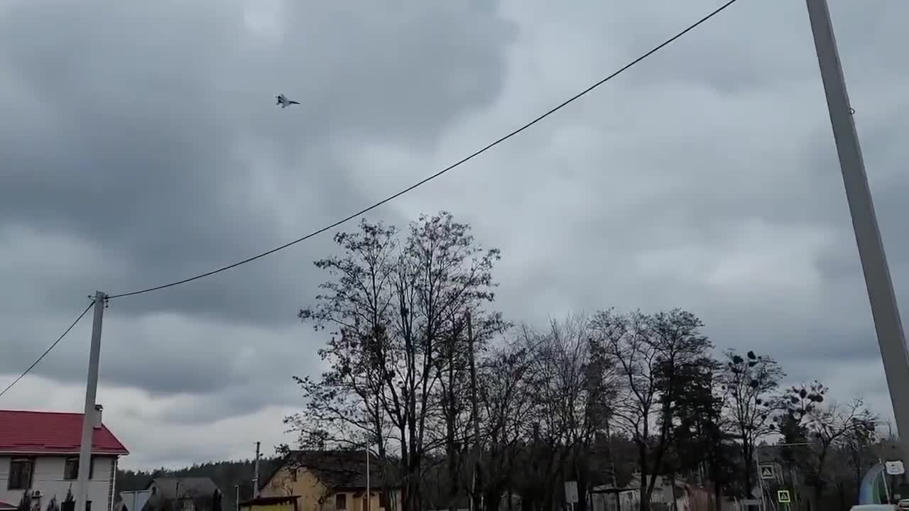 Ukraine Russian Dog Fight