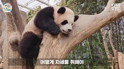 Ruihui’s daily life that you want to wear by your side after work