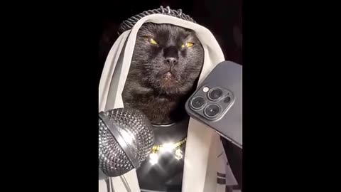 Funny Animals 😂 Funniest Cats and Dogs Videos 😺🐶