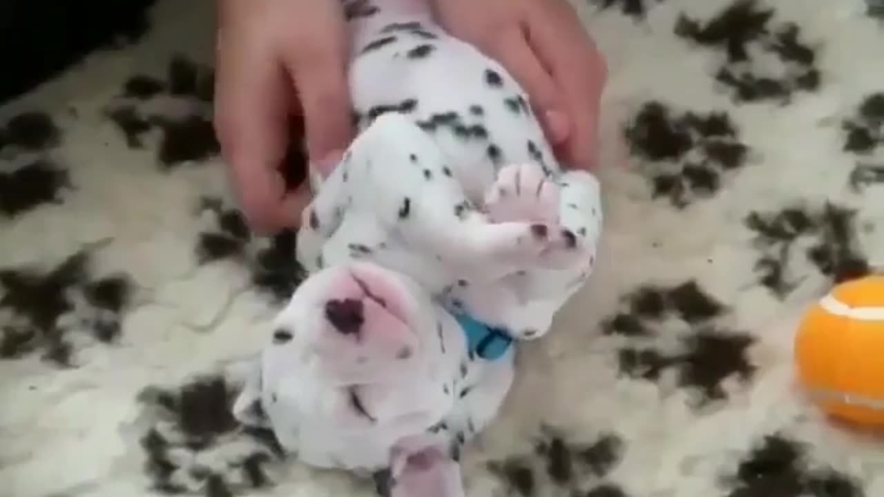 I want to do it, too