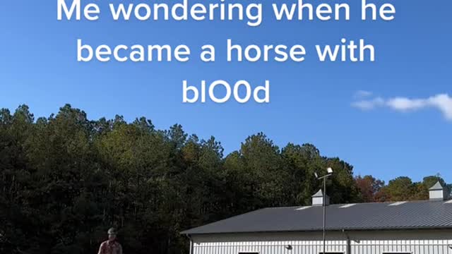 Me wondering when he became a horse with b00d