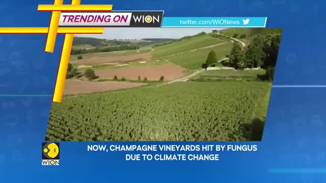 Trending news