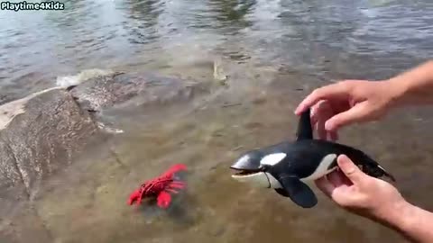 Sea Animal Toys This Summer at the Shore