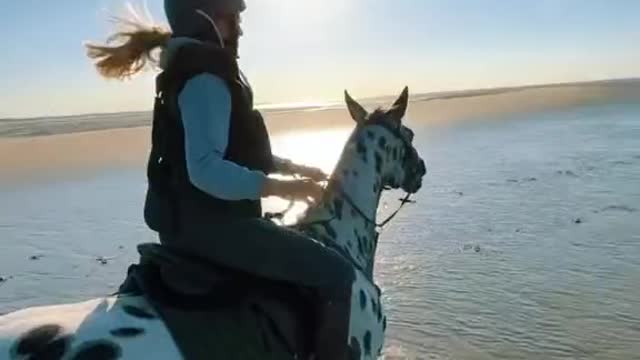 The horses galloped along the beach