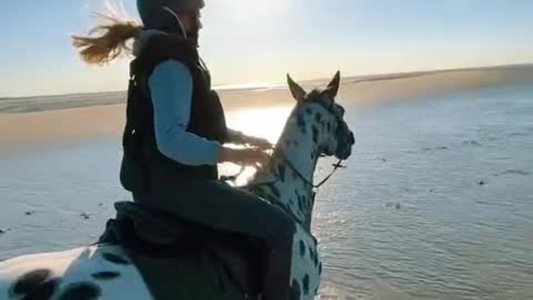 The horses galloped along the beach