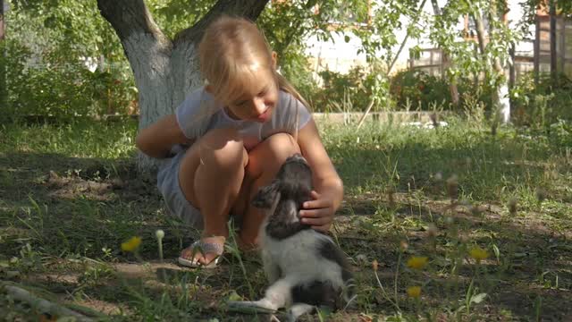 Little girl with a puppy in garden. A puppy in the hands of a girl