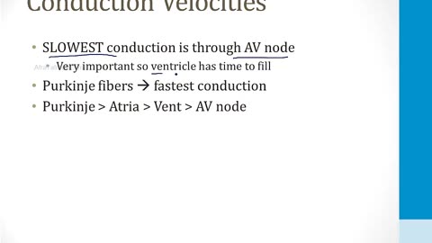 Cardiology - 3. EKGs - 1.EKG Basics