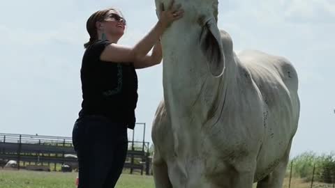 Is there anything sweeter than Brahman love?🥰