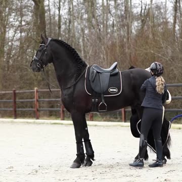 Time to sparkle & shine