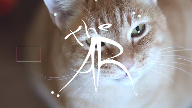 Testing out my intro transition featuring my new logo and my cat, Oliver | Davinci Resolve 18