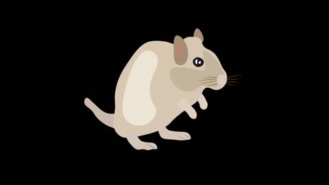 Simple simple painting natural style animal mouse mg animation