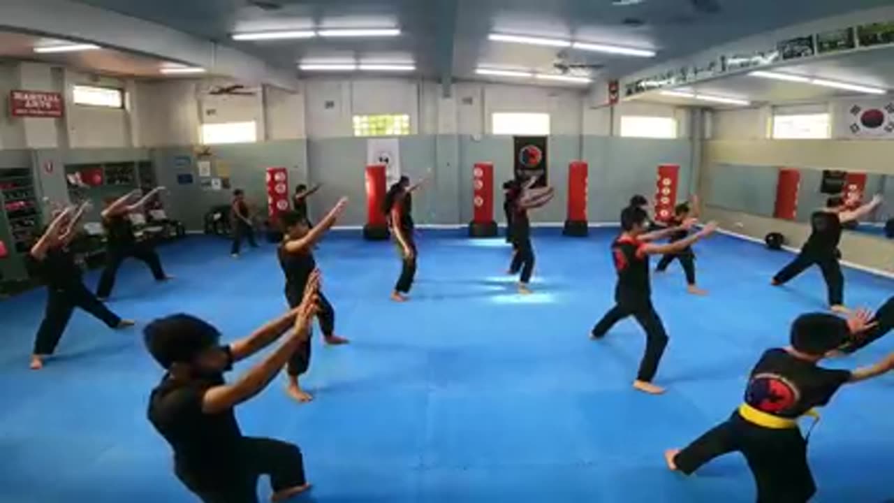 Hapkido