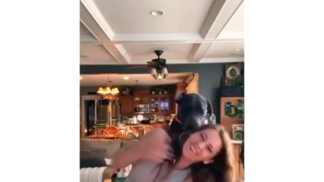 Dog training video