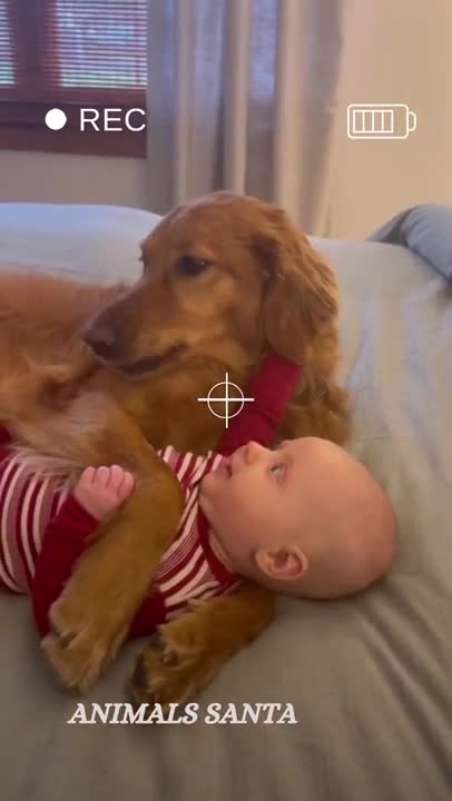 When you meet the love of your life