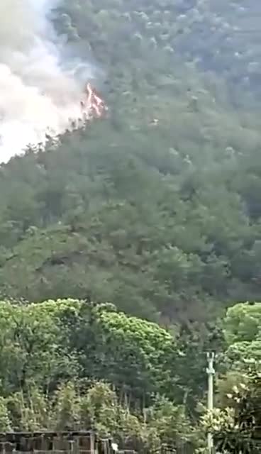 Crash site of China Eastern Airlines Flight 5735