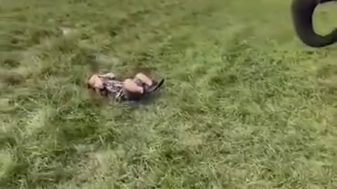 Baby Football with elephant funny videos