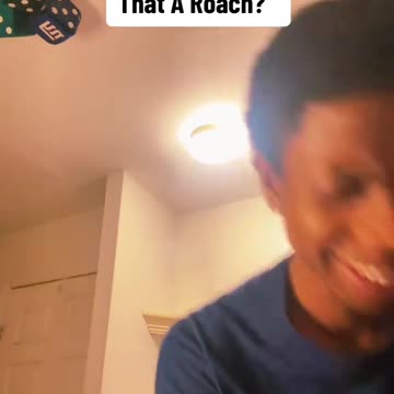 When You Have Company Over And You Hear Someone Say “Is That A Roach?”