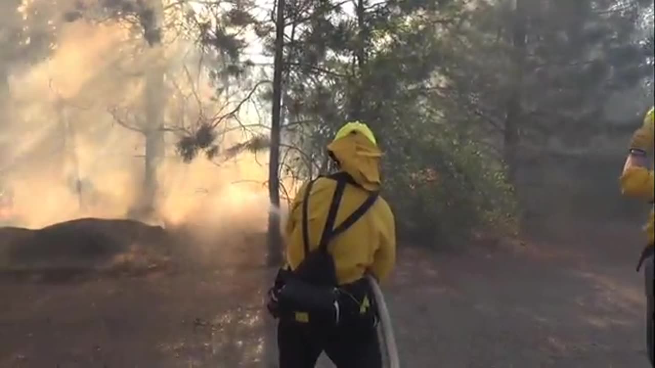 ARSON ATTACKS IN WASHINGTON STATE TO FUEL THE CLIMATE CHANGE NEWS CRISIS...