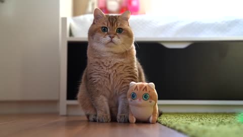 Mini Hosico Cuddle Plush