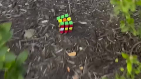 do you like to play rubik's cube