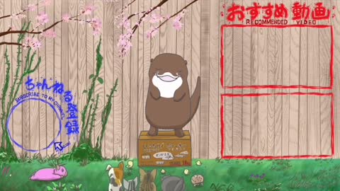ちょっかい出していじり合っているように見えて実はイチャイチャしてるっぽいカワウソと猫