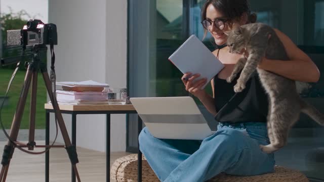 cute cat play her The owner