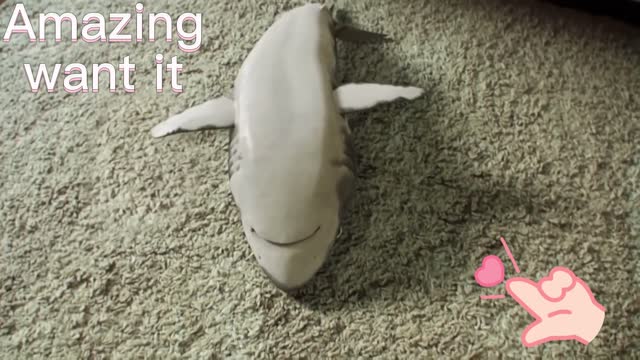 virtual pet i really want
