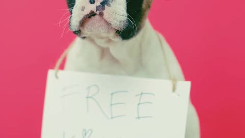 Free kisses