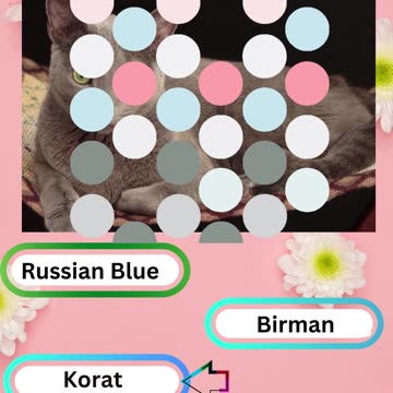 Purrfect Pets Quiz My Furry Friends Challenge 2